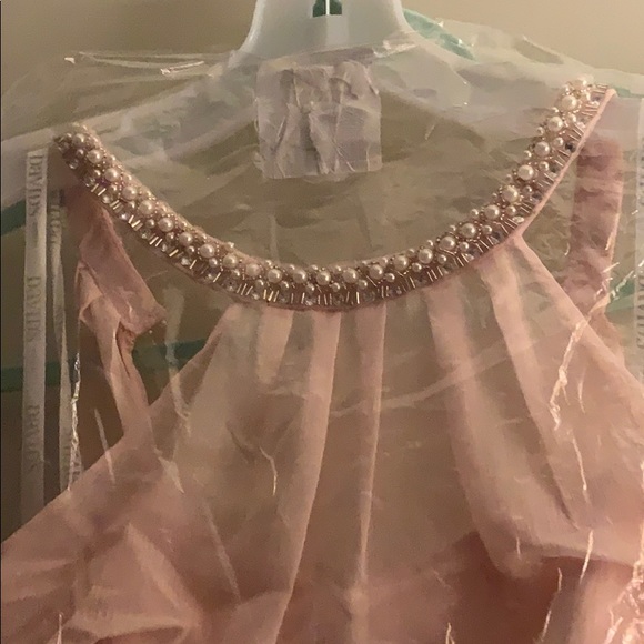 Pale pink semi formal dress - Picture 2 of 3